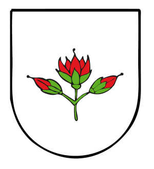 Znak